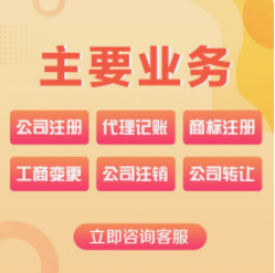 小规模一般纳税人代账 企业登记代理 记账报税全链条企业服务